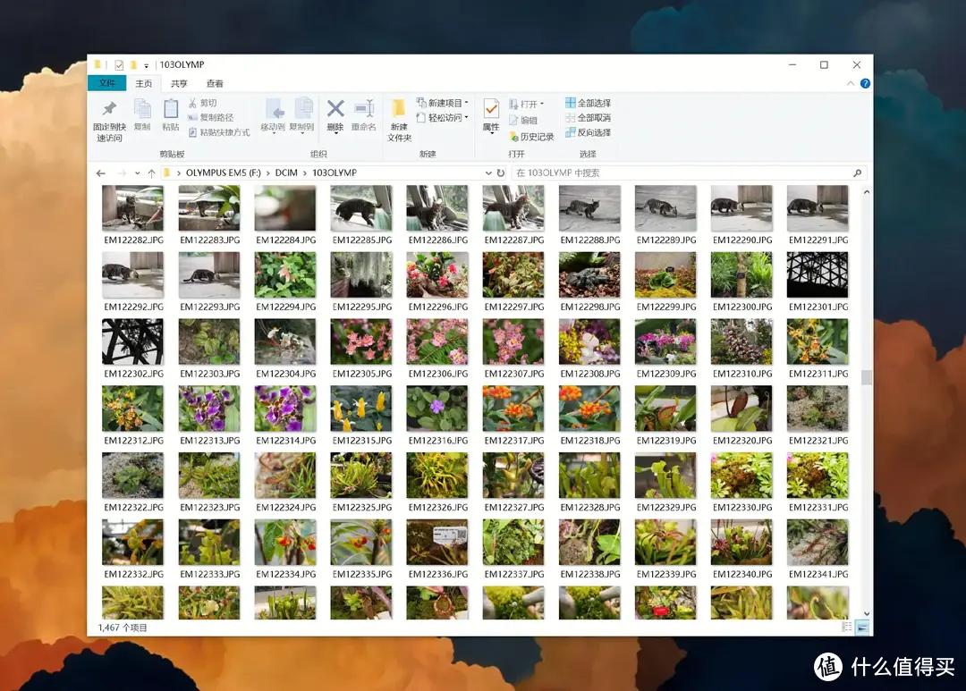 从NAS小白到如今彻底离不开,聊聊在部署家庭私有云后帮我解决的这些问题,兴许你也遇到过 从NAS小白到如今彻底离不开,聊聊在部署家庭私有云后帮我解决的这些问题,兴许你也遇到过