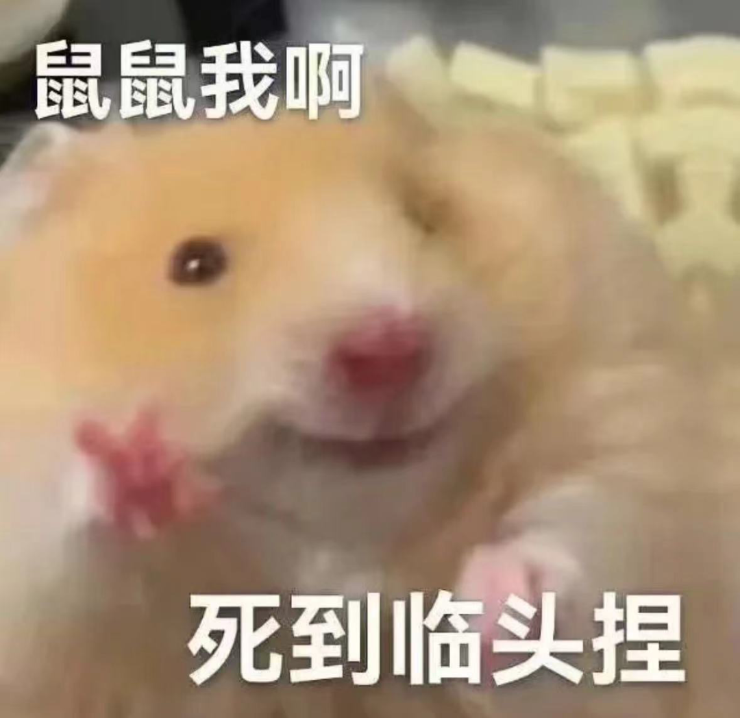 全网播放量超5亿,这届年轻人“偷感很重” 全网播放量超5亿,这届年轻人“偷感很重”