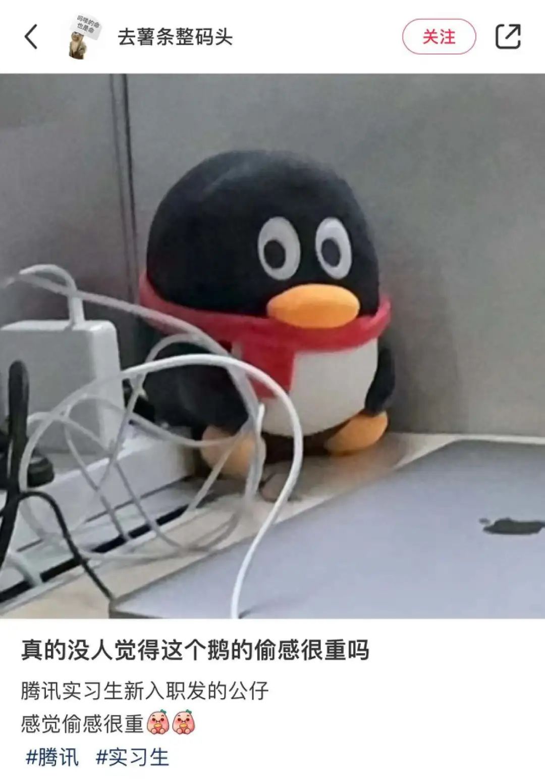 全网播放量超5亿,这届年轻人“偷感很重” 全网播放量超5亿,这届年轻人“偷感很重”