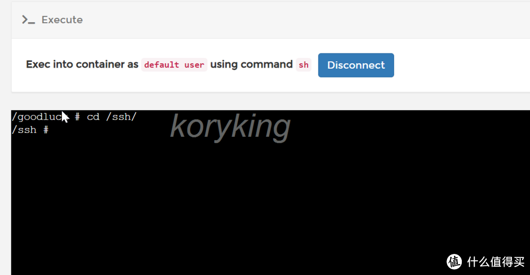 绿联云新老系统，极空间，群晖进入ssh root用户的方法（方便后续文章调用，知道的小伙伴可以忽略）