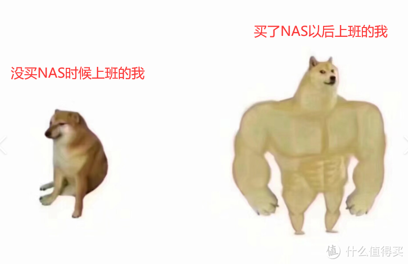 自从买了NAS，打工牛马翻身做主人，上班下电影晚上看电影，好不快落~~