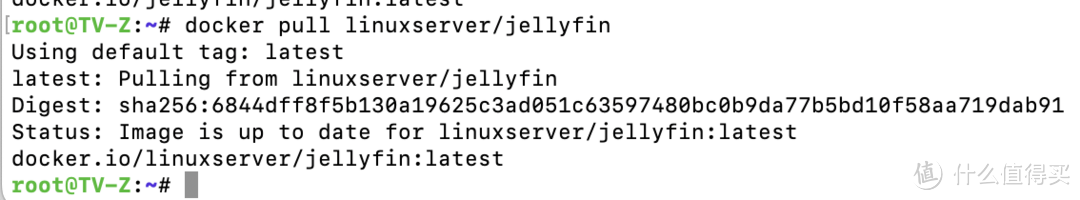 影音折腾Part5-用Jellyfin免费搭建个人专属影音库 影音折腾Part5-用Jellyfin免费搭建个人专属影音库