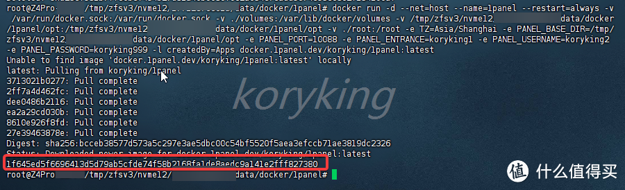 1panel in docker尝试着解决了一些问题，基本完美使用了