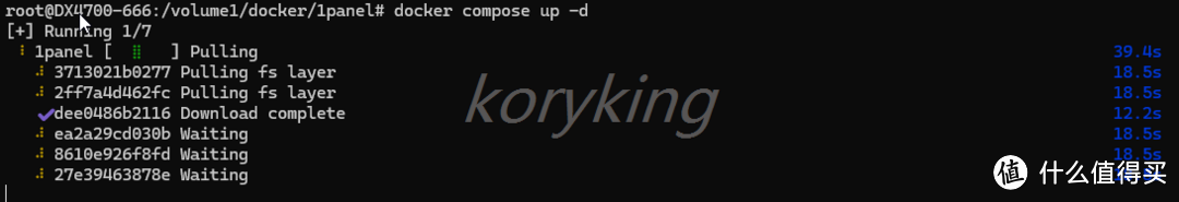 1panel in docker尝试着解决了一些问题，基本完美使用了