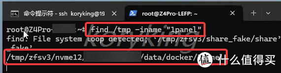1panel in docker尝试着解决了一些问题，基本完美使用了