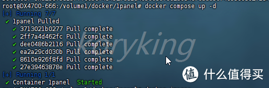 1panel in docker尝试着解决了一些问题，基本完美使用了