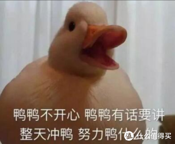 24年下半年全品牌NAS挑选科普与攻略，顺便说说NAS的用途、玩法，以及各品牌都要如何使用compose