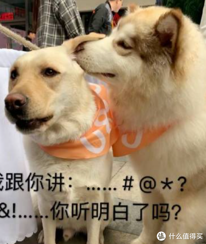 NAS指南 | 还是搞不懂SMB、FTP、WebDAV等协议？