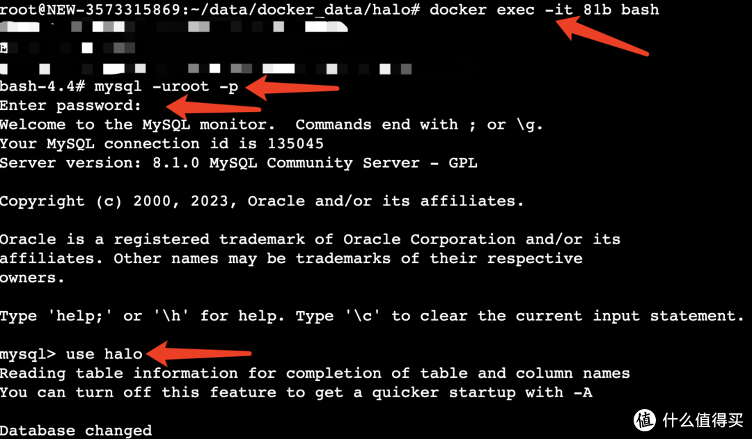 Halo 博客版本升级、更换域名流程记录 Halo 博客版本升级、更换域名流程记录