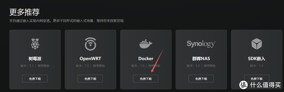 移动大内网,也可以对外提供公网服务!贝锐花生壳发布重大更新,全平台docker可部署 移动大内网,也可以对外提供公网服务!贝锐花生壳发布重大更新,全平台docker可部署