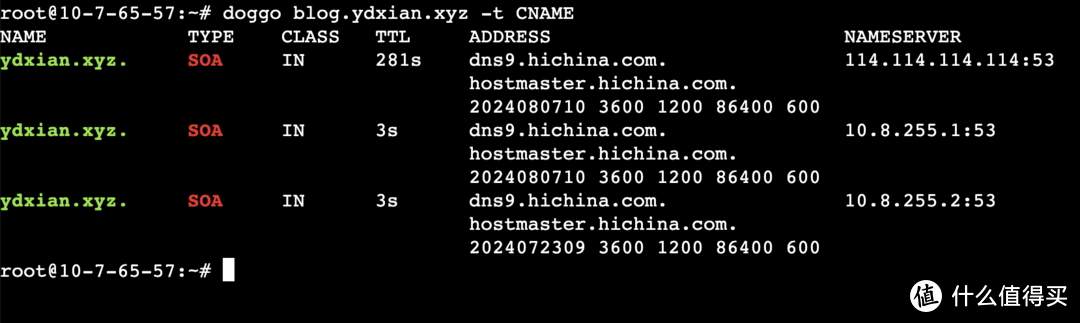 网络调试终极武器,10分钟快速部署开源工具Doggo,解锁调试新技能 网络调试终极武器,10分钟快速部署开源工具Doggo,解锁调试新技能