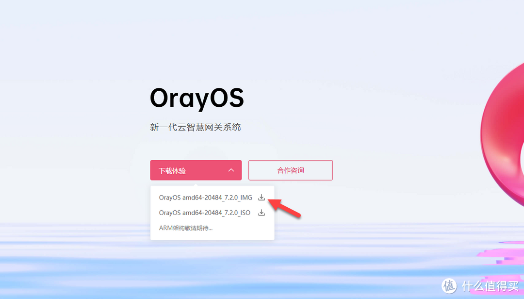 异地办公神器!UNRAID虚拟机,搭建异地组网的云智慧网关系统 OrayOS 异地办公神器!UNRAID虚拟机,搭建异地组网的云智慧网关系统 OrayOS