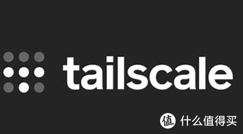 使用tailcale外网访问飞牛私有云，变相免费使用它可能出的收费功能