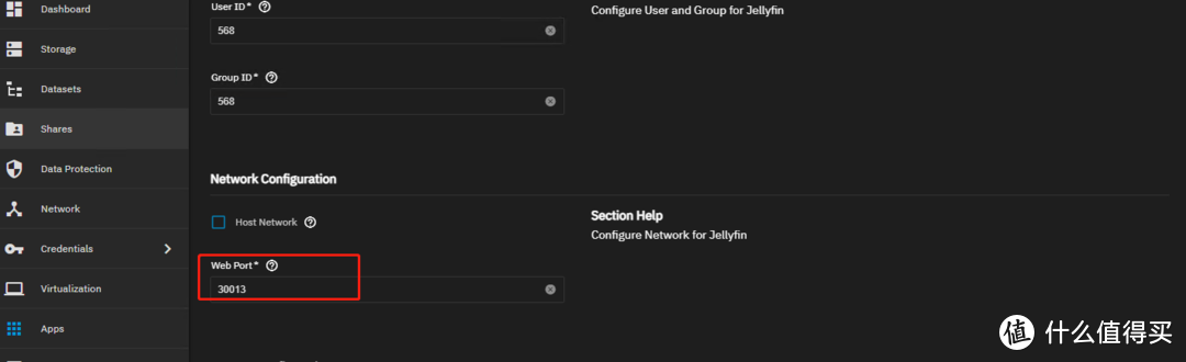 TrueNAS 的内网穿透玩法探秘 (二) - 在线影院