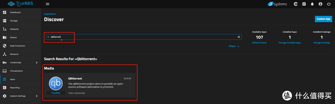 TrueNAS 的内网穿透玩法探秘 (二) - 在线影院