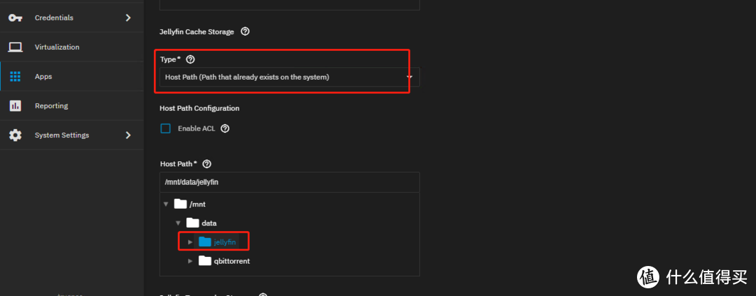 TrueNAS 的内网穿透玩法探秘 (二) - 在线影院
