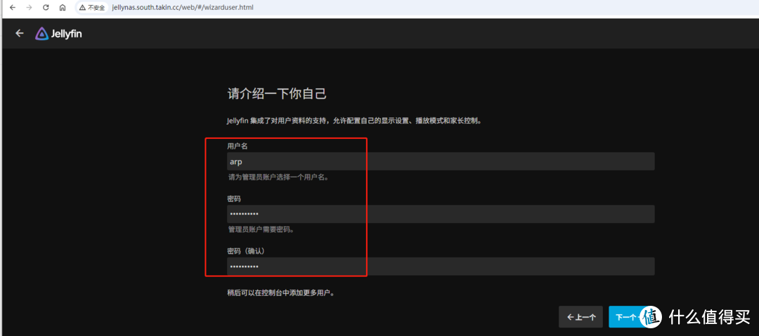 TrueNAS 的内网穿透玩法探秘 (二) - 在线影院