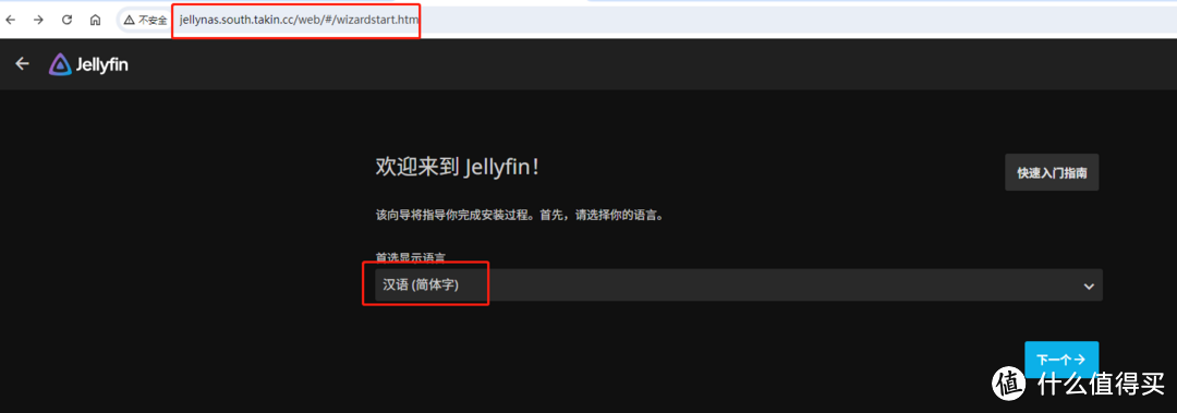 TrueNAS 的内网穿透玩法探秘 (二) - 在线影院