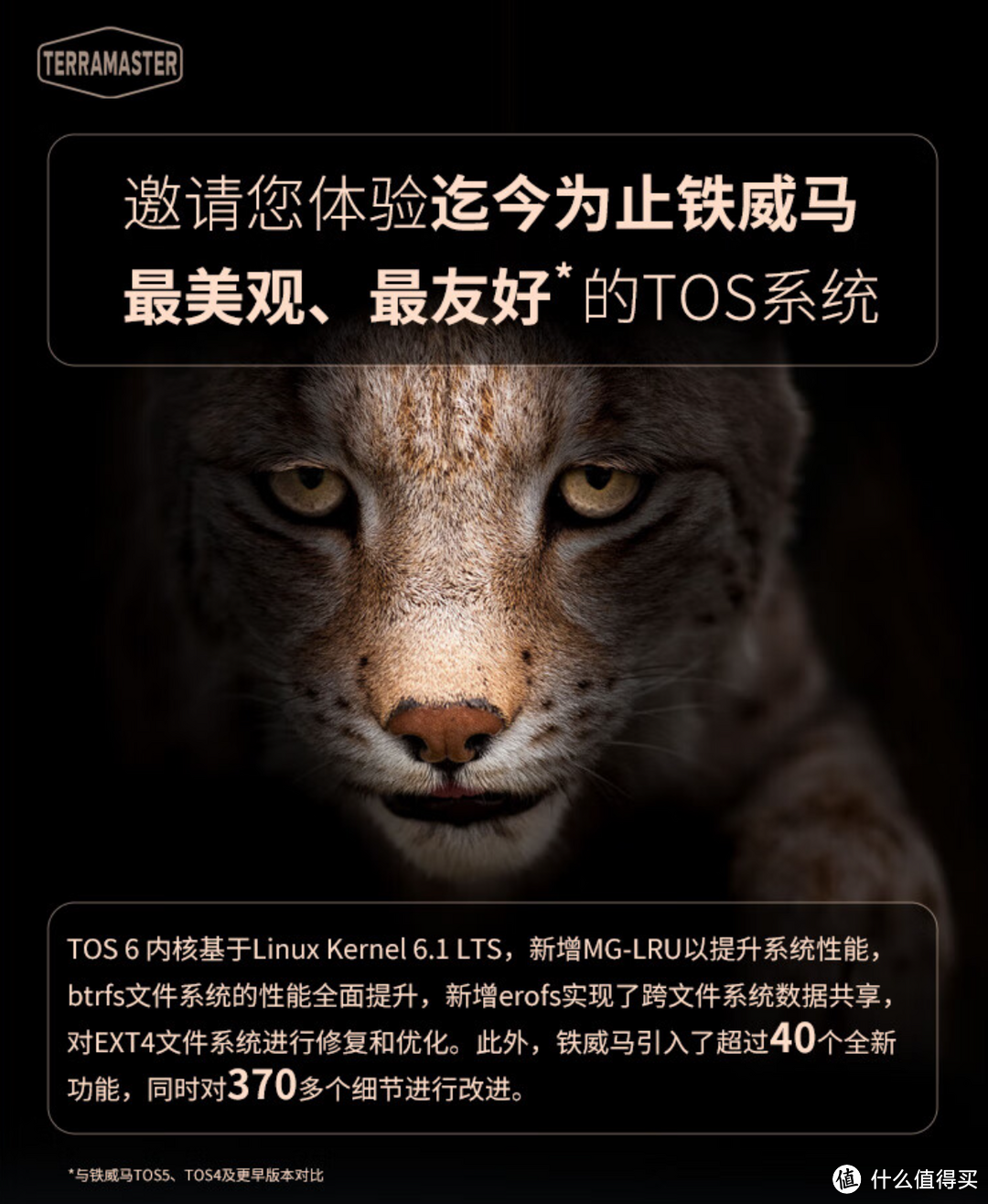 一步登顶 舒适养老 铁威马MAX级NAS 6机械+2固态 搭载全新内核系统TOS 6——F6-424 Max