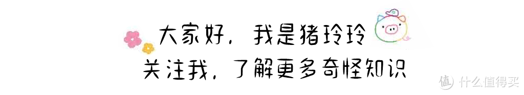 找到了不限速的网盘平替,极空间Z2Pro开箱 找到了不限速的网盘平替,极空间Z2Pro开箱