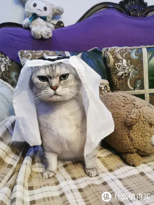 800元二手群晖能干啥?我用一款 App 实现了所有想要的功能 800元二手群晖能干啥?我用一款 App 实现了所有想要的功能