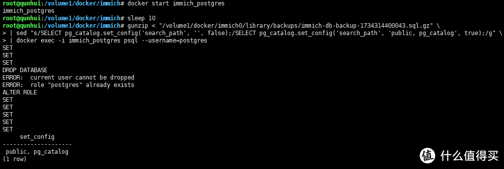 群晖Container Manager下immich数据库恢复记录