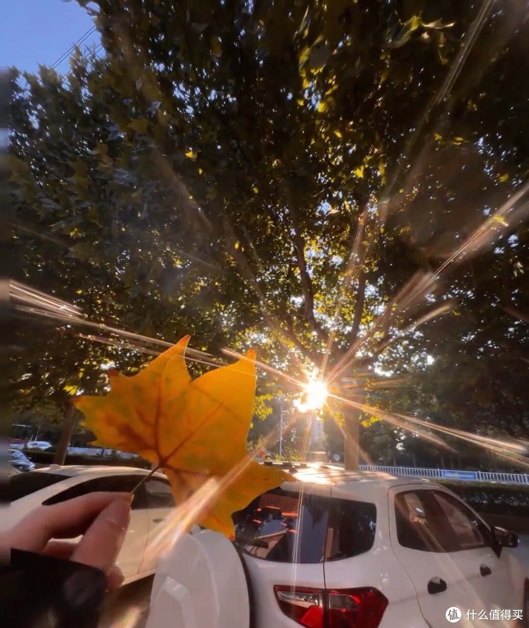 华硕NAS穿云箭,高速存储新选择! 华硕NAS穿云箭,高速存储新选择!