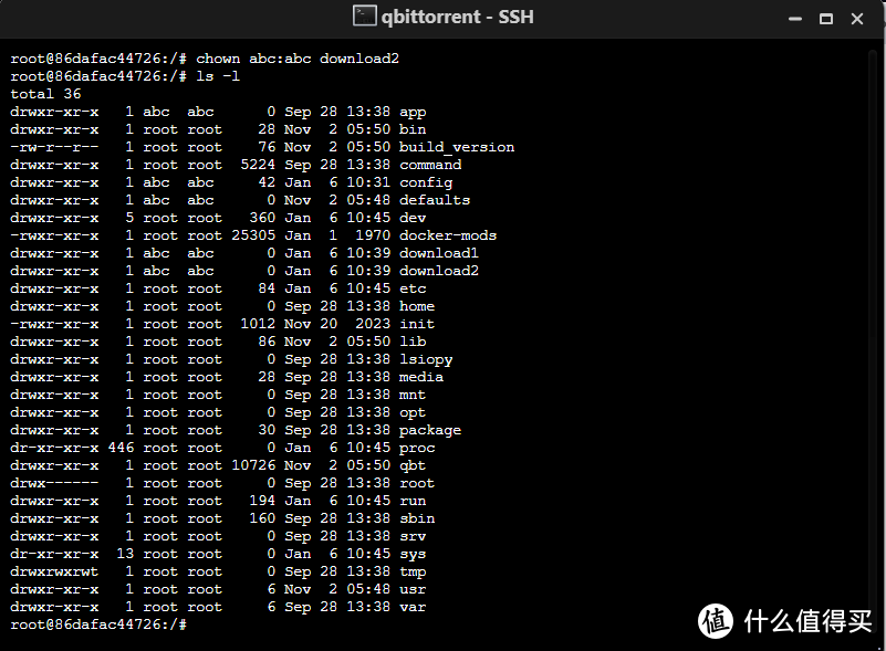 极空间NAS中如何让qbittorrent docker具有多个保存路径