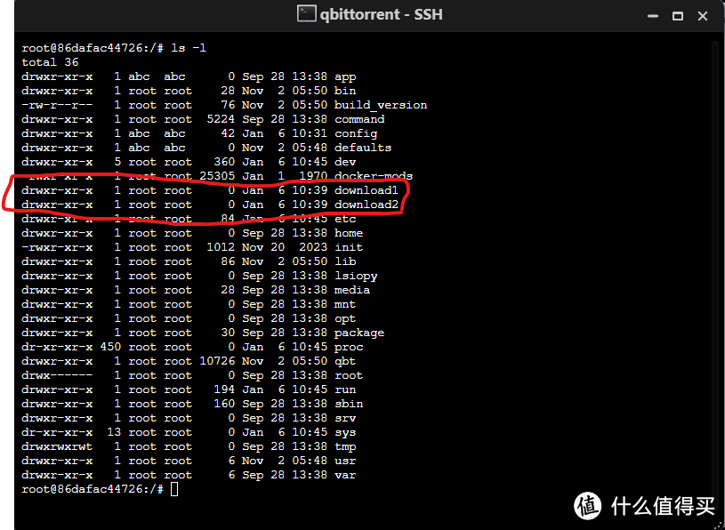 极空间NAS中如何让qbittorrent docker具有多个保存路径