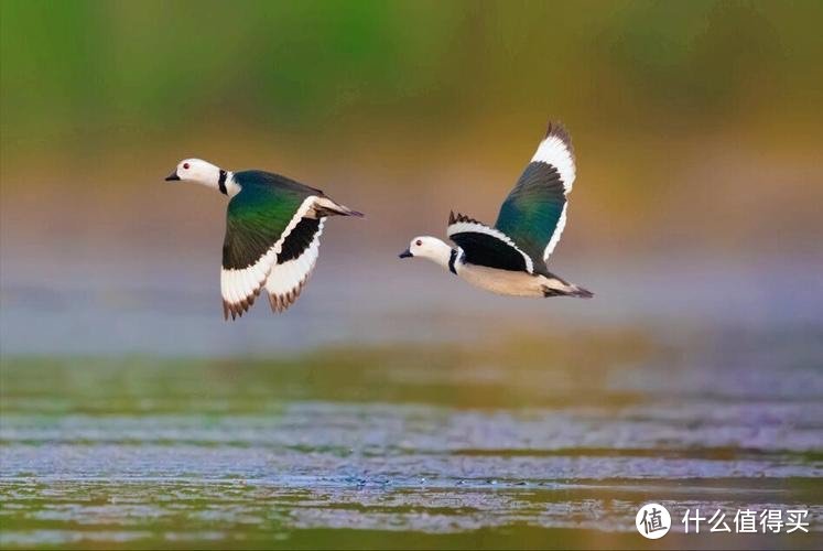 NAS在手，电子相册我有！