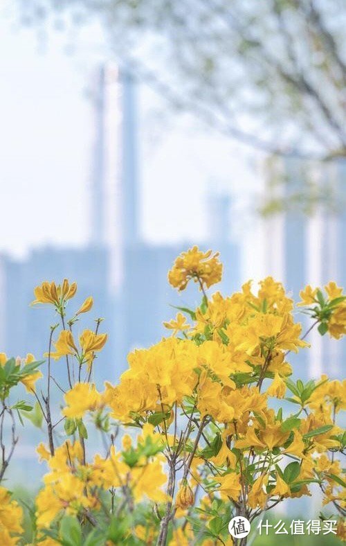 NAS在手，电子相册我有！