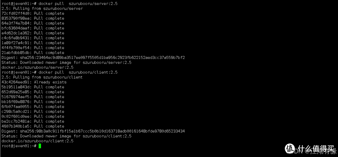 实战教程：利用Docker容器化技术部署Szurubooru图像分享平台
