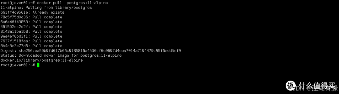 实战教程：利用Docker容器化技术部署Szurubooru图像分享平台