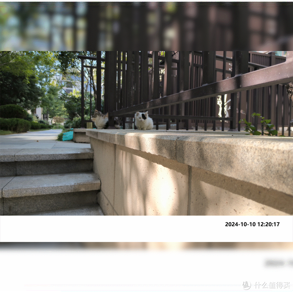 普通人要NAS有什么用？看这里一篇文章和你聊清楚~