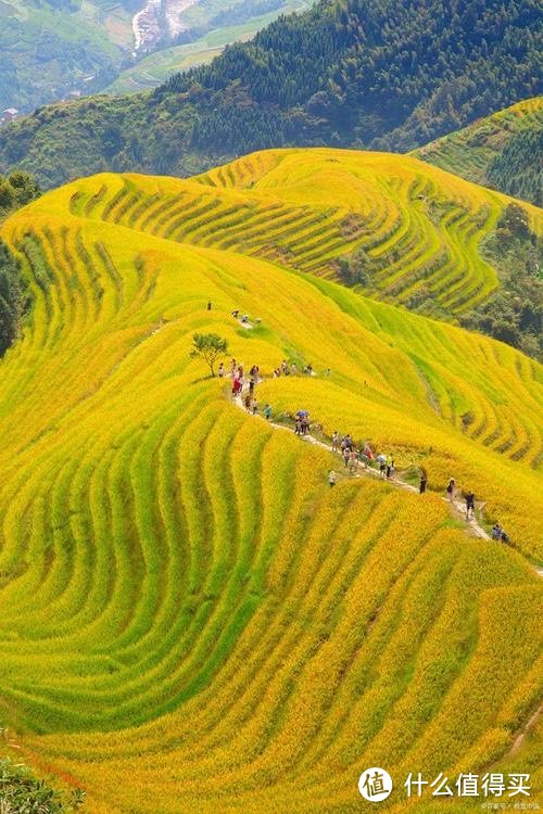 震惊！这样设置NAS能省一半电？