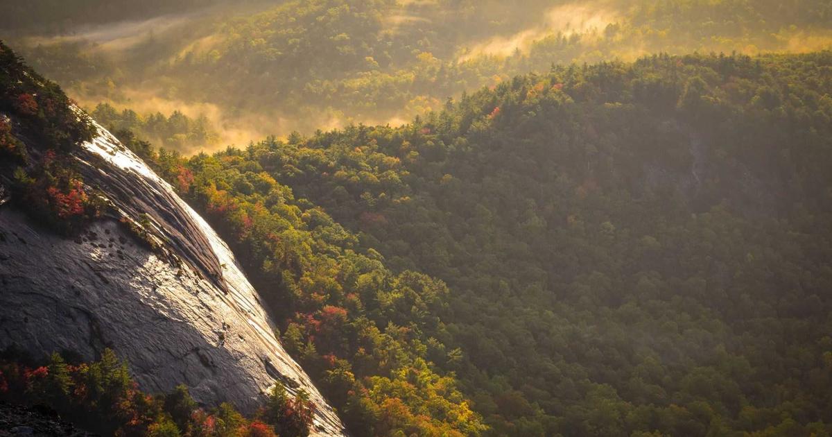 NAS容器自动更新实战：用Watchtower打造零维护的自动化更新体系