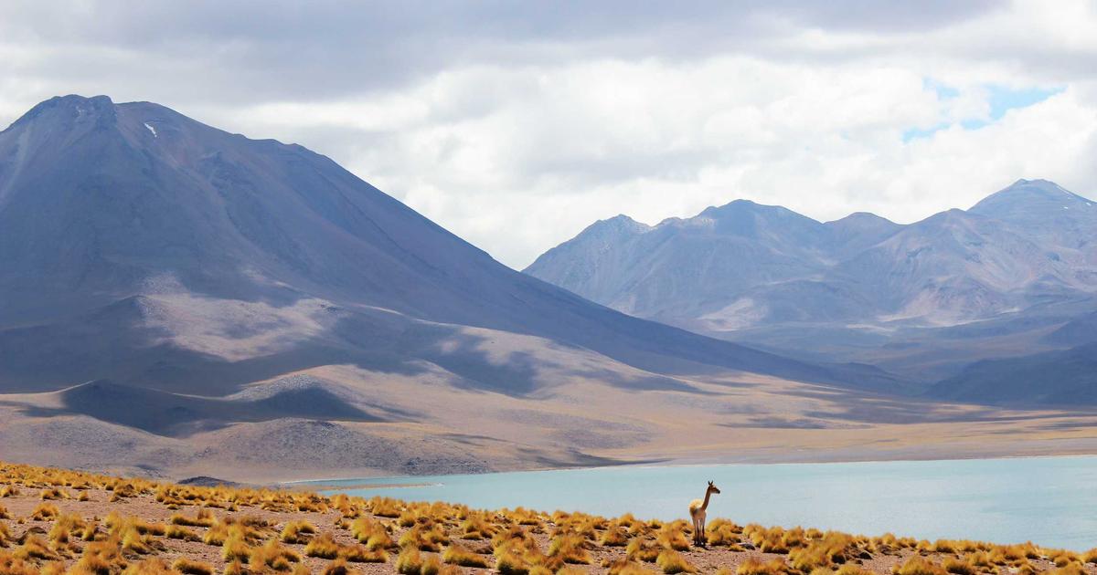 NAS私有Registry仓库搭建：Harbor镜像仓库的Docker化部署与高可用配置