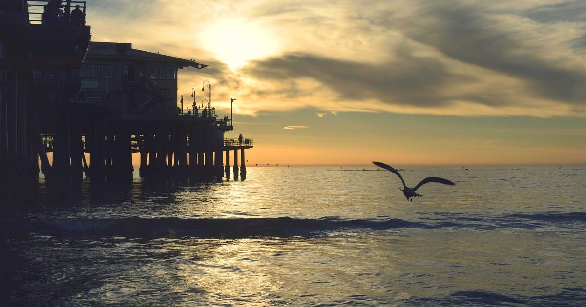 CasaOS插件开发入门：打造个性化轻NAS应用生态