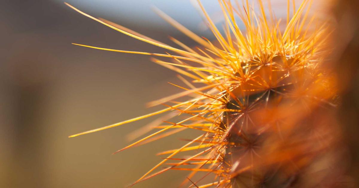 NAS权限精细化管理实战：从基础共享到SMB ACL高级配置