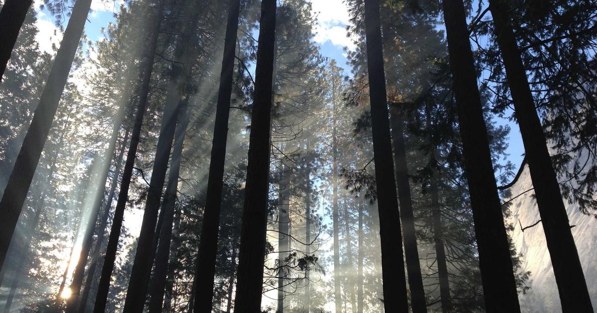 TrueNAS SCALE与CORE大对决：ZFS、Linux与BSD架构深度解析