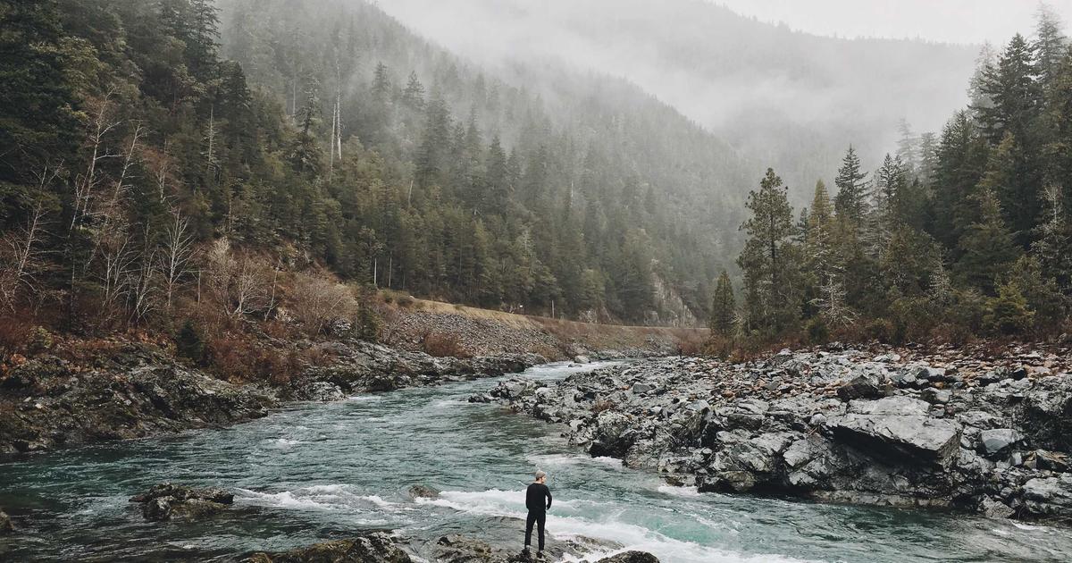 家庭代码审查服务器搭建指南：让GitHub/Gitea托管代码质量