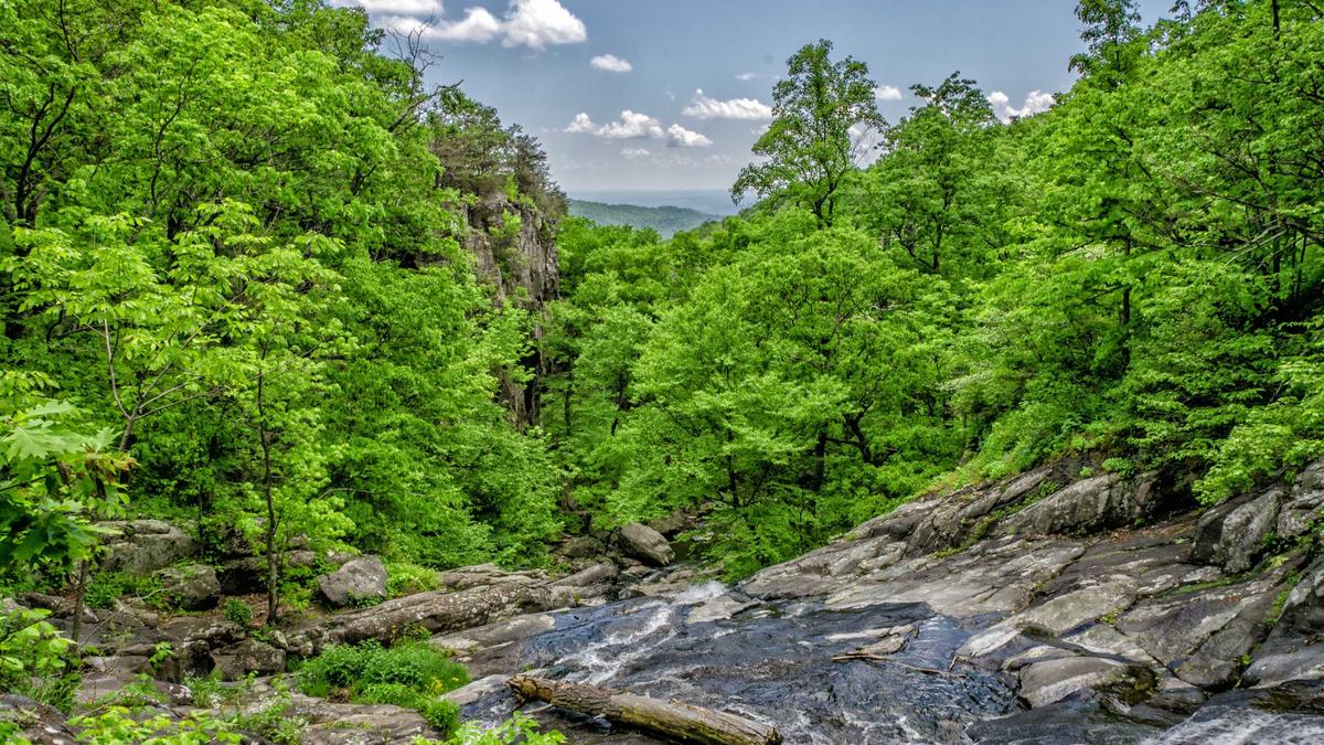 NAS多盘位存储池合并方案深度对比：mergerfs、MHDDFS与UnionFS的全场景解析