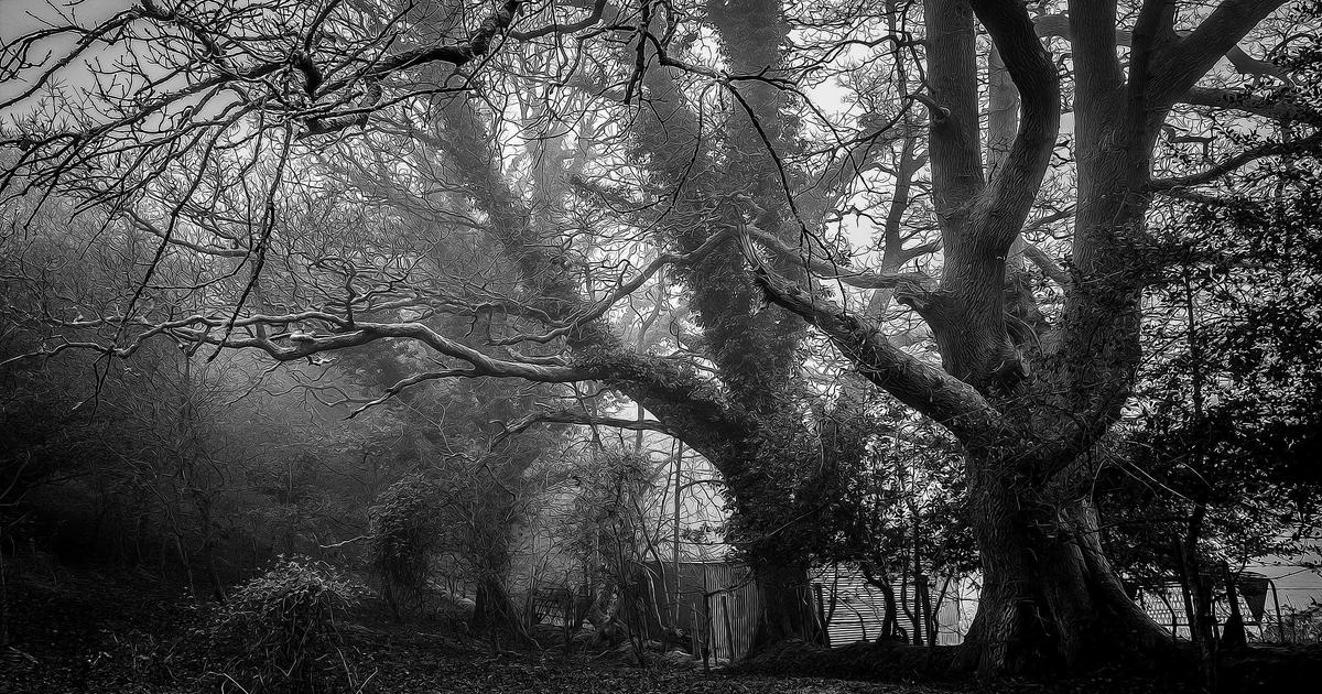 Unraid 7.0阵列与缓存池深度解析：灵活存储架构的技术内幕