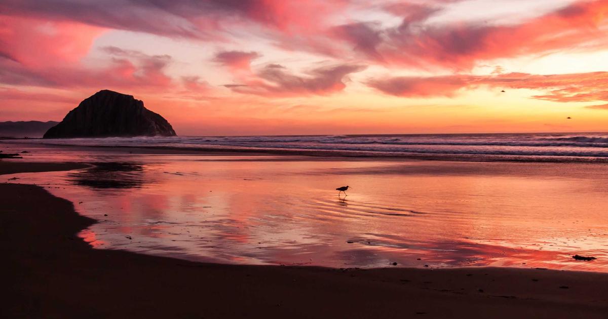 NAS数据迁移完整指南：从一台NAS到另一台NAS的多种方案对比