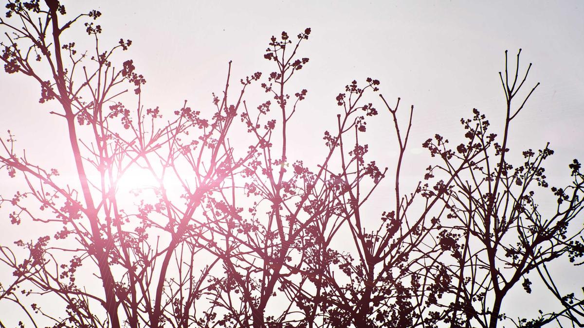 CasaOS迈入2.0时代：轻量级NAS系统新标杆，Docker生态全面进化