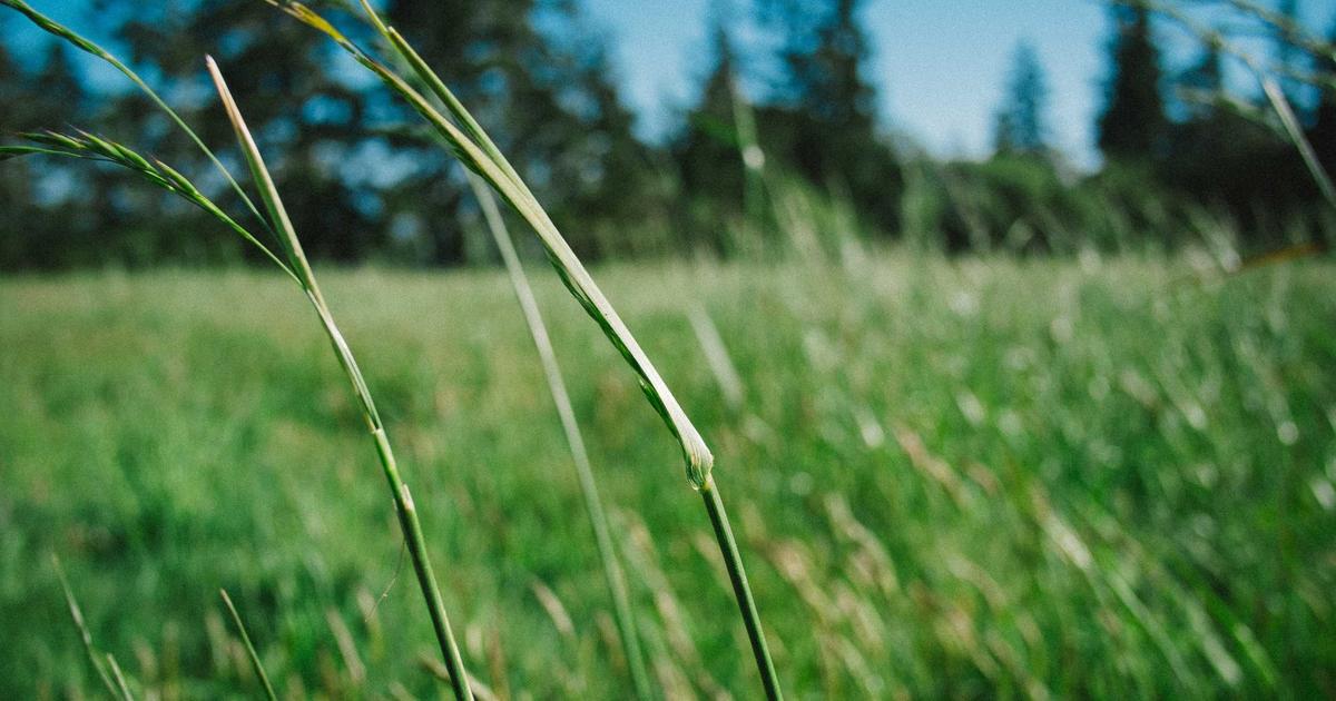 NAS邮件服务搭建实战：用Mailcow和Docker部署私有邮件系统