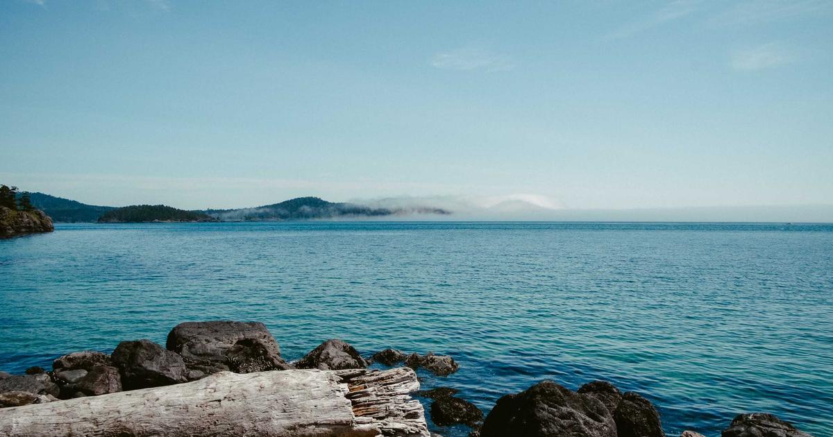 NAS打造家庭影音中枢：从Jellyfin到Plex的流媒体服务实测对比