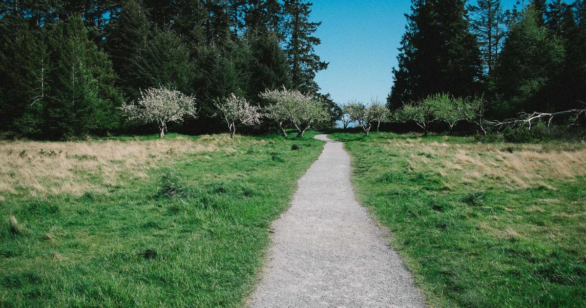 NAS远程访问新方案：Tailscale零配置内网穿透实战指南