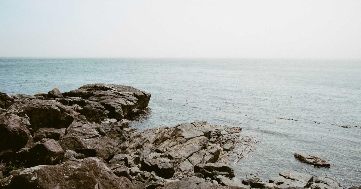 NAS虚拟机部署全攻略：从VM到Proxmox的虚拟化平台选型指南