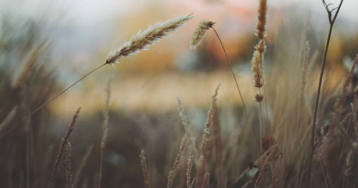 NAS安全加固终极指南：从防火墙配置到零信任架构的全链路防护方案